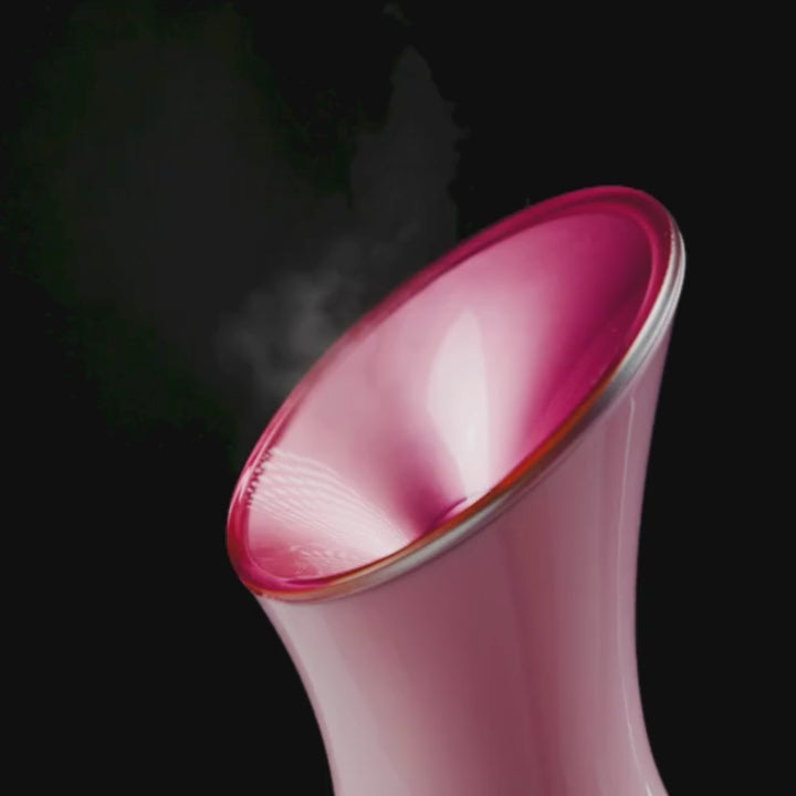 LuxGlow Facial Steamer Spa Kit